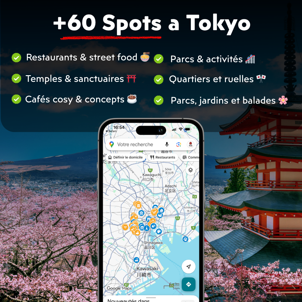 Carte Google Maps Japon