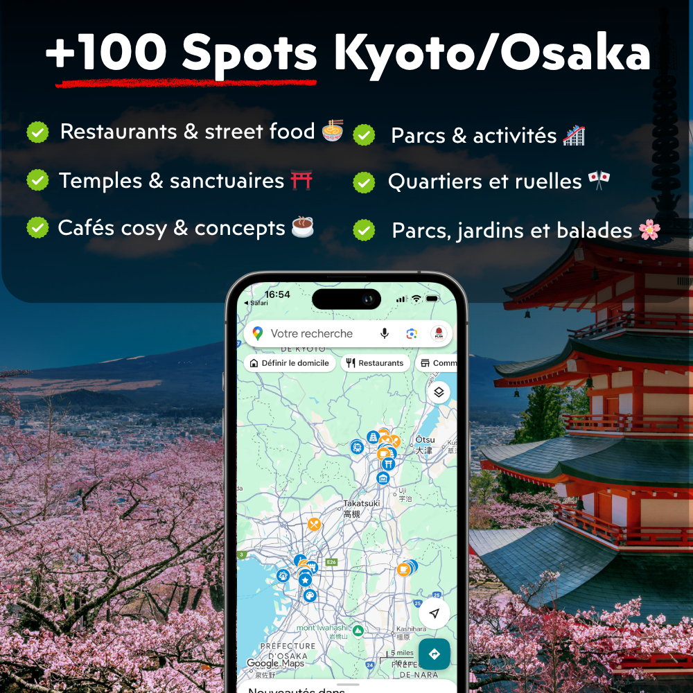 Carte Google Maps Japon