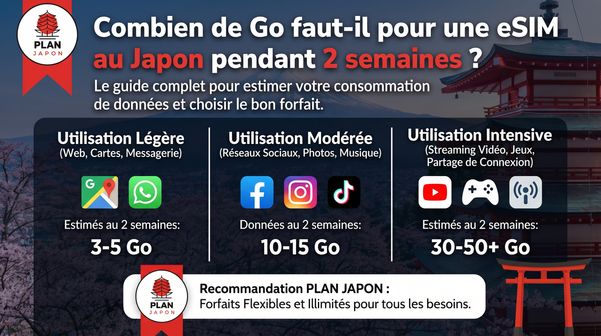 Combien de Go faut-il pour une eSIM au Japon pendant 2 semaines ?