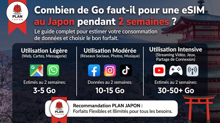 Combien de Go faut-il pour une eSIM au Japon pendant 2 semaines ?