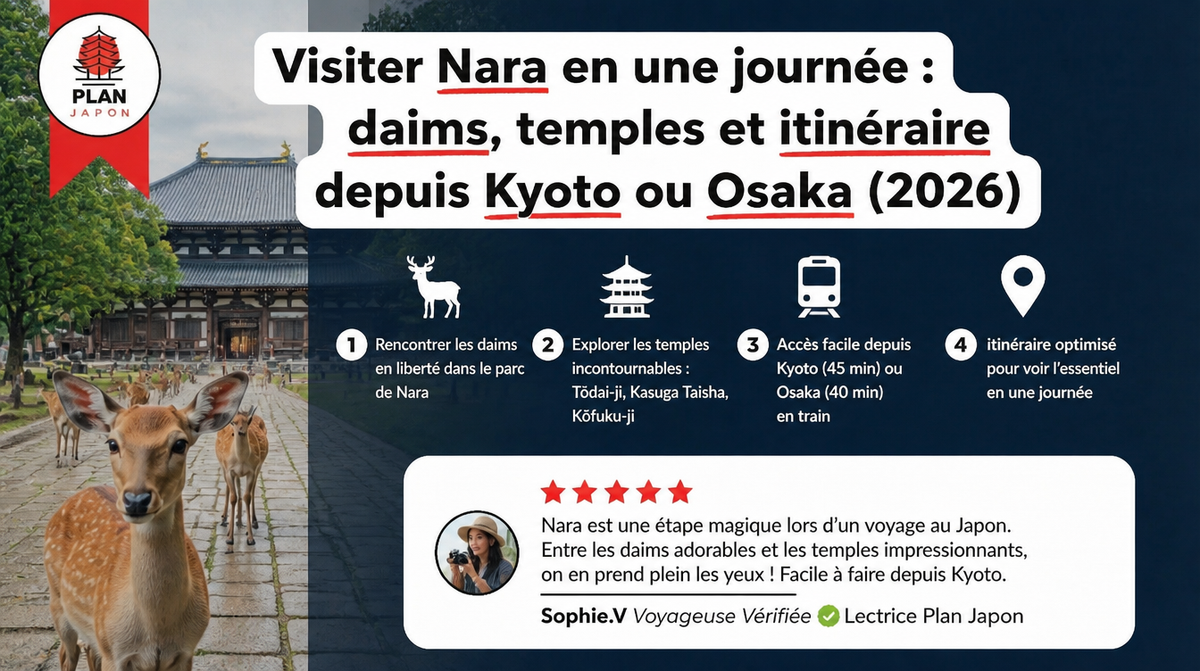 Visiter Nara en une journée : daims, temples et itinéraire depuis Kyoto ou Osaka (2026)