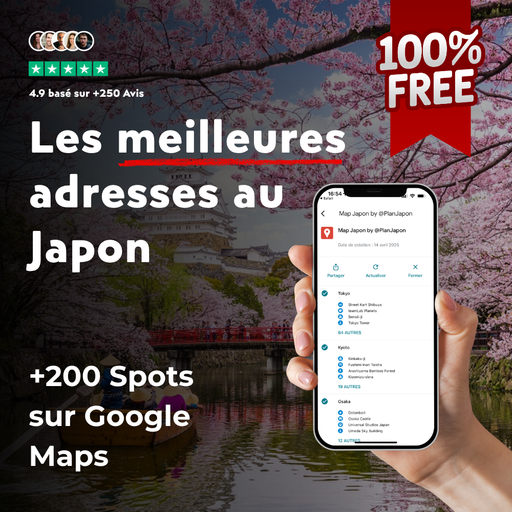 Carte Google Maps — +200 spots