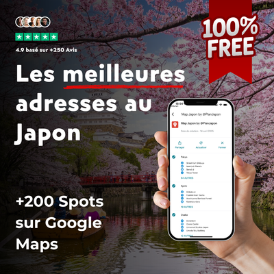 Carte Google Maps — +200 spots