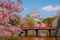 Forfait local japonais